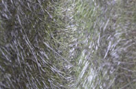 Moorhead fibreglass roof work